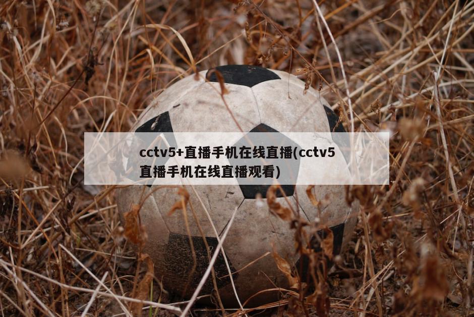 cctv5+直播手机在线直播(cctv5直播手机在线直播观看)