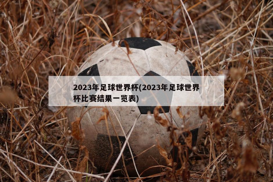 2023年足球世界杯(2023年足球世界杯比赛结果一览表)