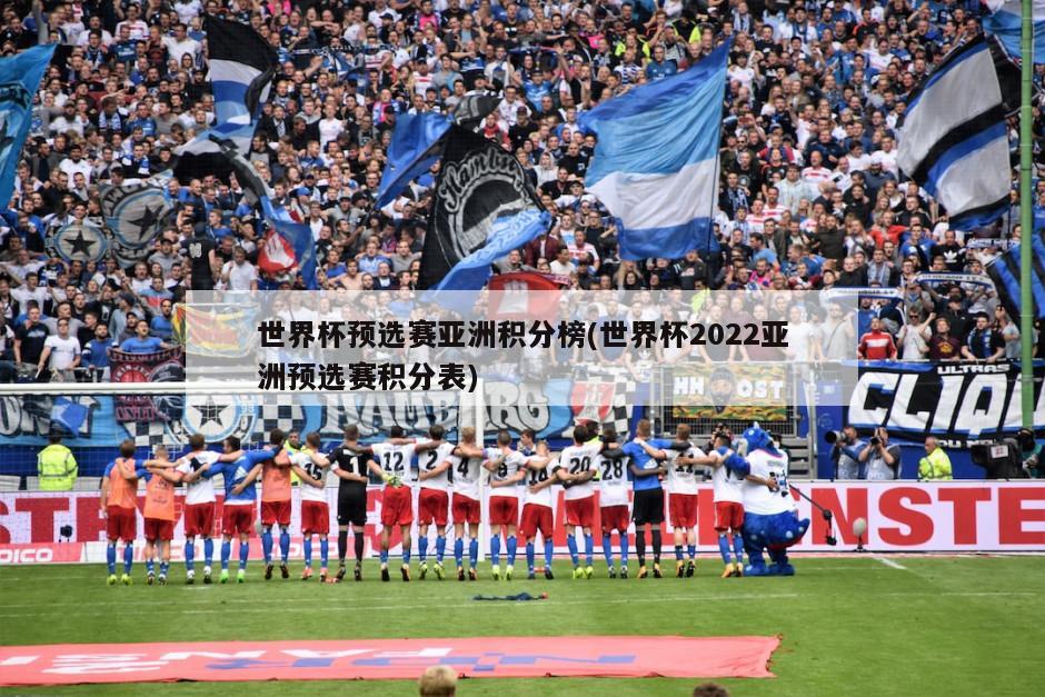 世界杯预选赛亚洲积分榜(世界杯2022亚洲预选赛积分表)