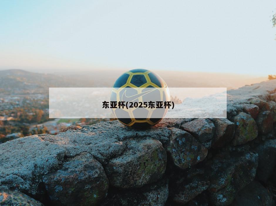 东亚杯(2025东亚杯)