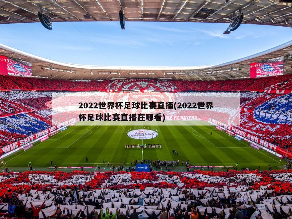 2022世界杯足球比赛直播(2022世界杯足球比赛直播在哪看)