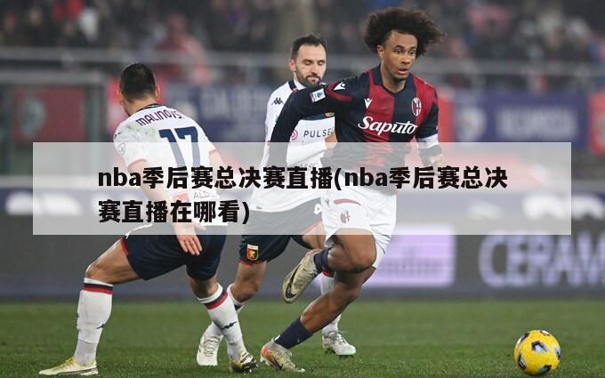 nba季后赛总决赛直播(nba季后赛总决赛直播在哪看)