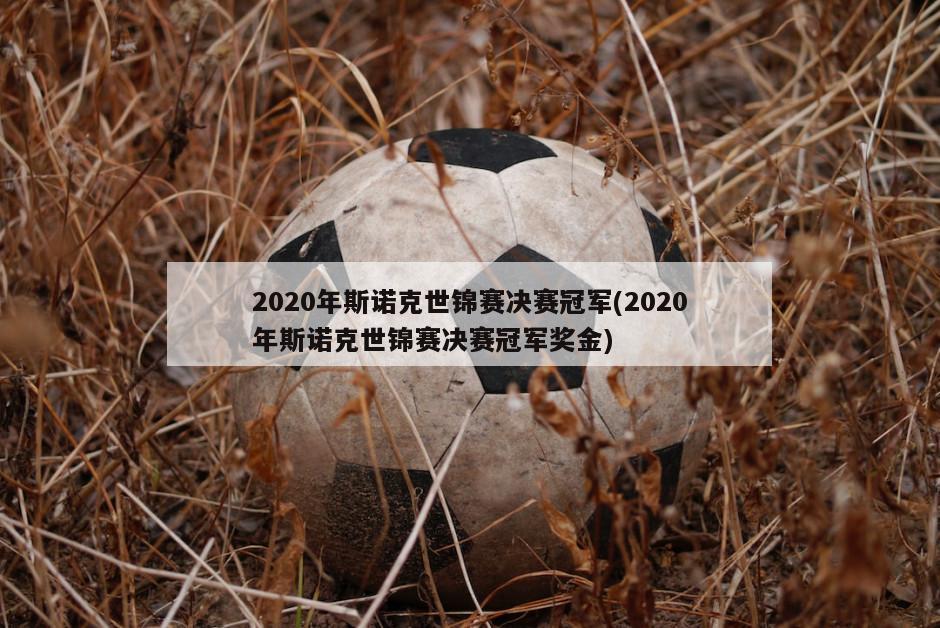 2020年斯诺克世锦赛决赛冠军(2020年斯诺克世锦赛决赛冠军奖金)