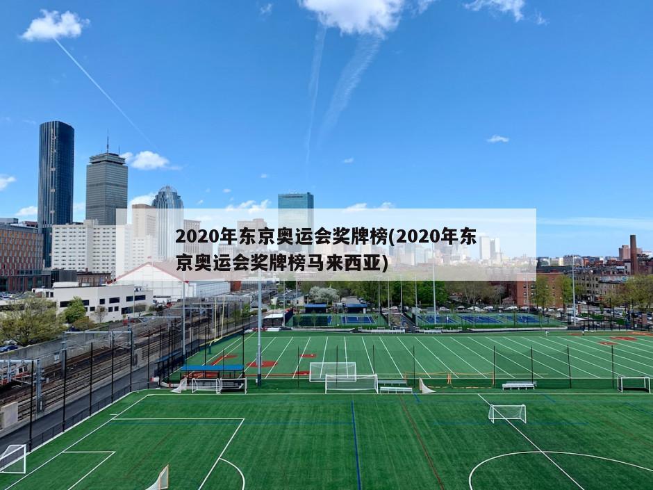 2020年东京奥运会奖牌榜(2020年东京奥运会奖牌榜马来西亚)