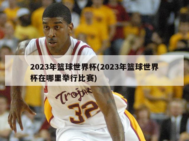 2023年篮球世界杯(2023年篮球世界杯在哪里举行比赛)